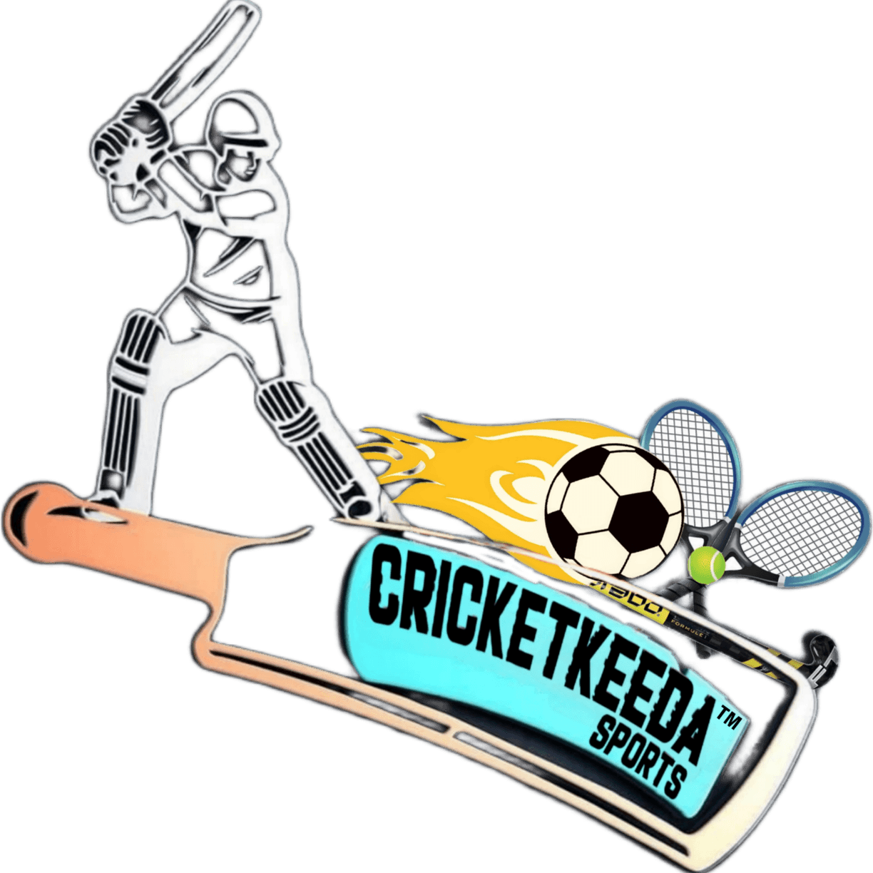 T20 Wc Trophy PNG