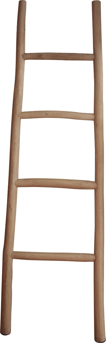 Ladder PNG