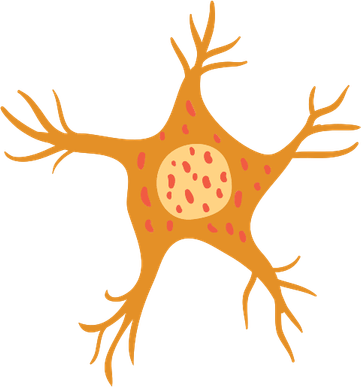 Neuron PNG