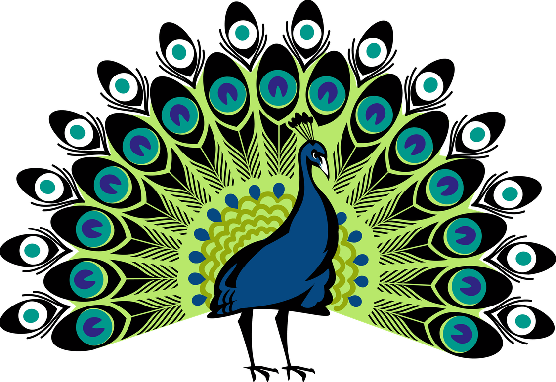 Peacock Logo PNG