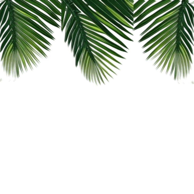 Tropical Leaves Border PNG