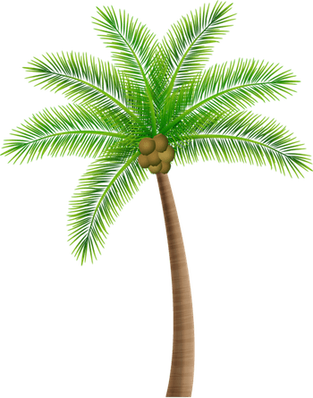 Khajoor Tree PNG