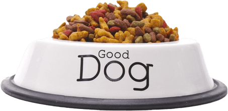 Dog Food PNG