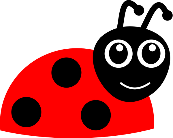 Lady Bug PNG