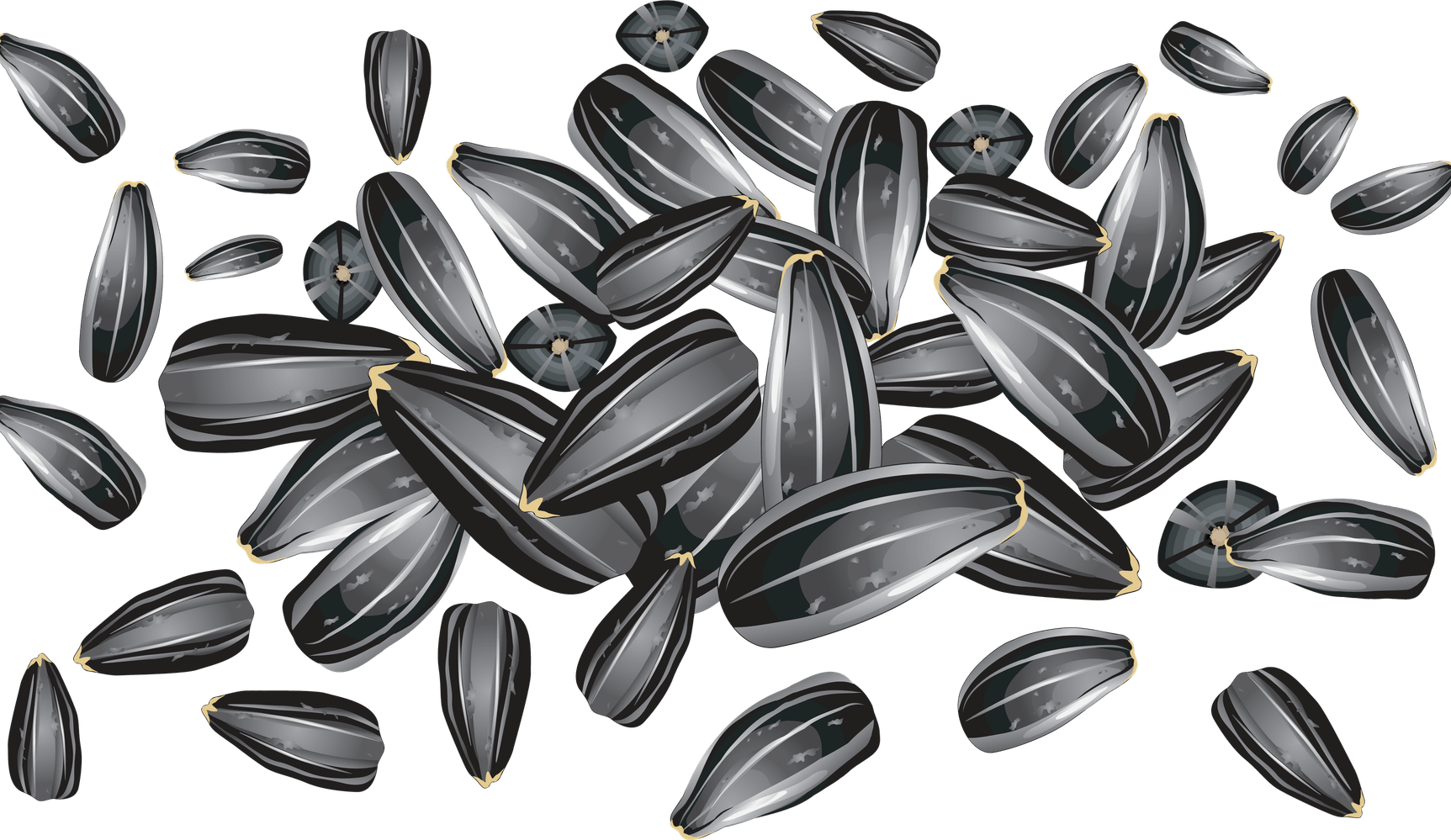 Sunflower Seeds PNG
