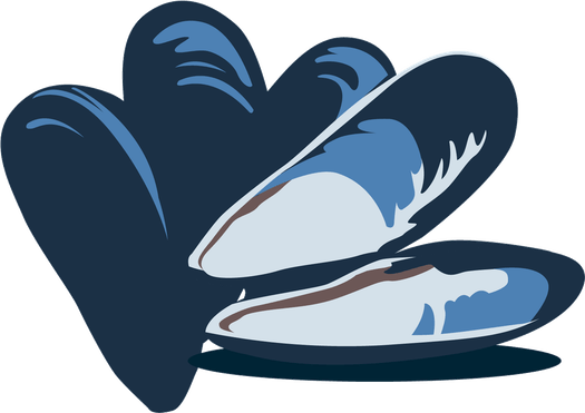 Mussels PNG