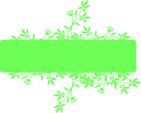 Green Banner PNG