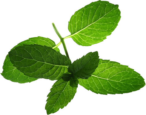 Peppermint PNG