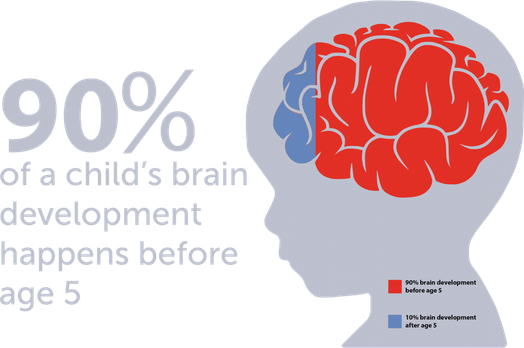 Child Brain PNG