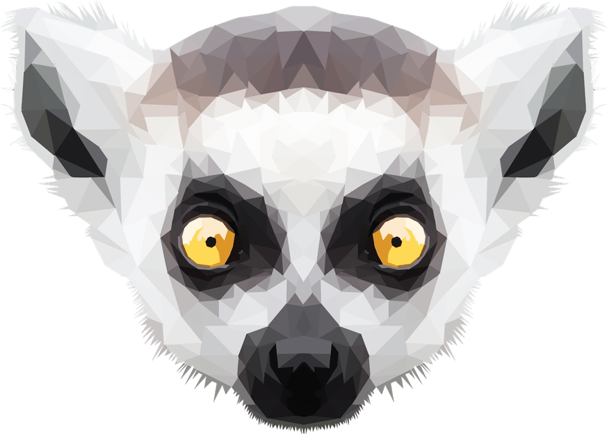 Lemurs PNG