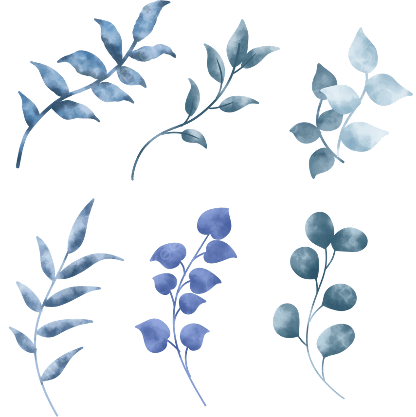 Watercolor Leaves PNG