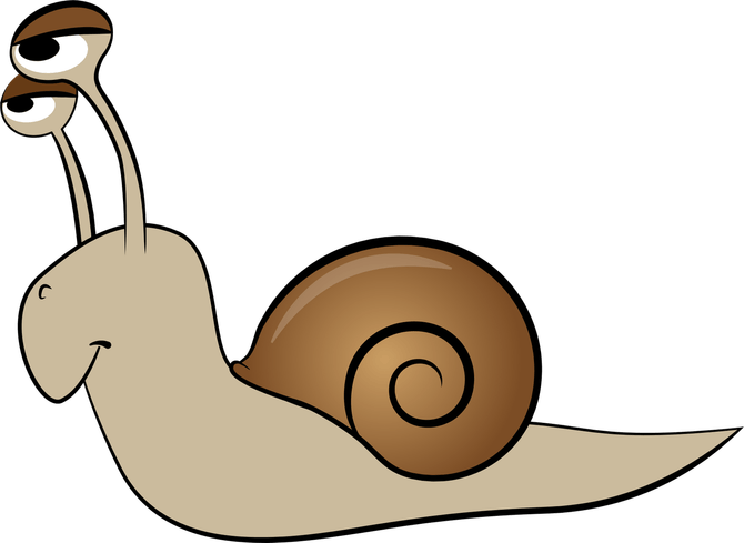 Snail PNG