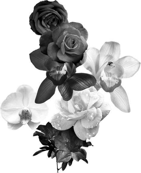Black And White Roses PNG