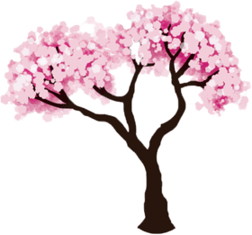 Cherry Blossom Tree PNG