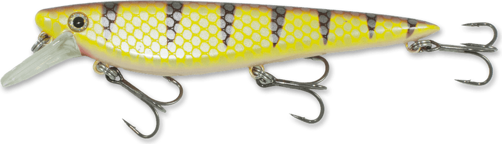 Fish Hook PNG