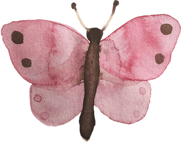 Ai Butterfly PNG
