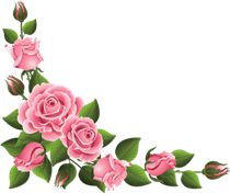Pink Rose PNG