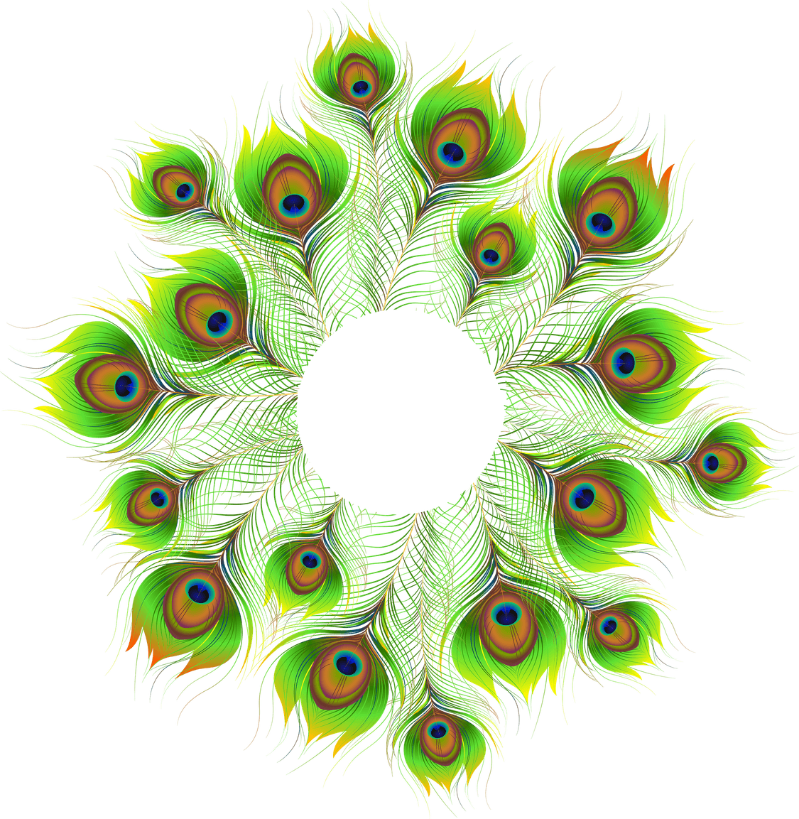 Peacock Feather PNG