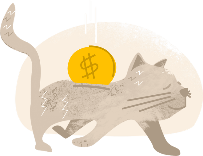 Cat With Money PNG