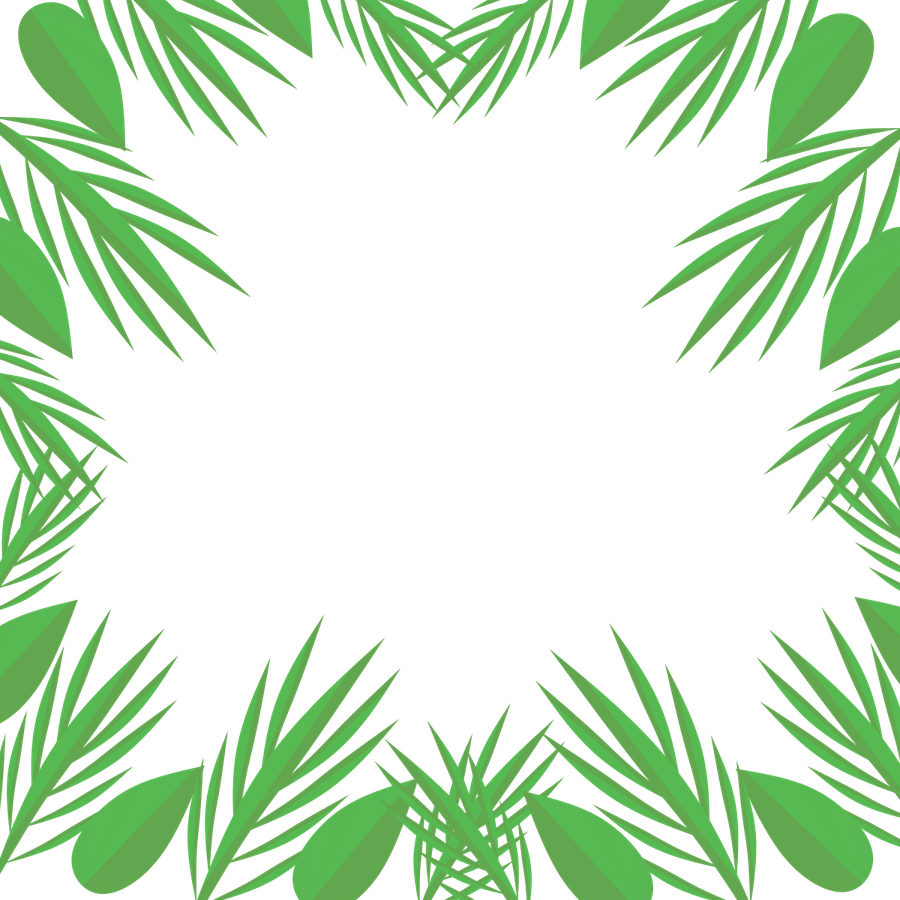 Leaves Border PNG