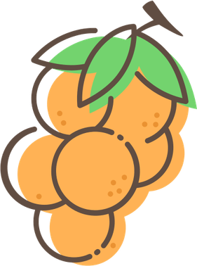 Pokemon Berries PNG