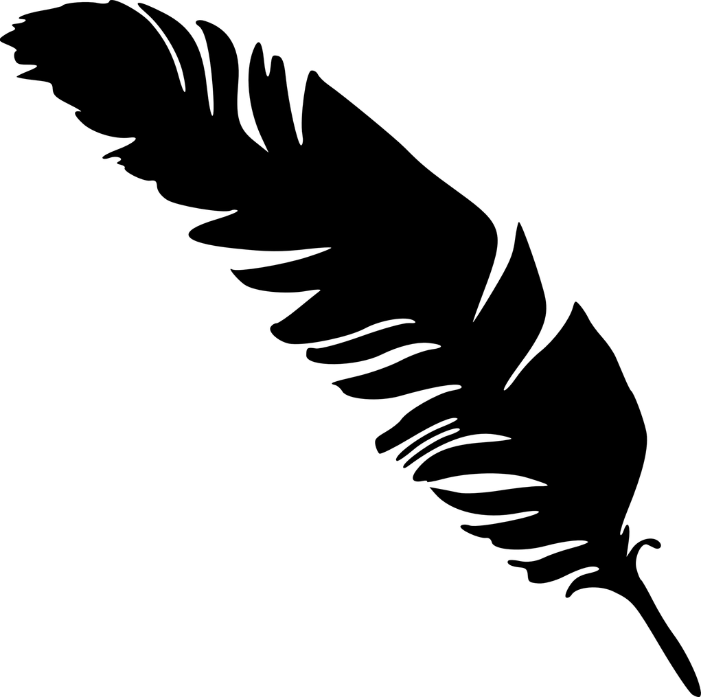 Black Feathers PNG