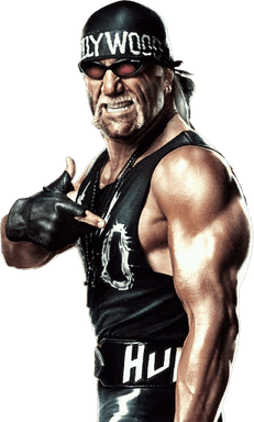 Hulk Hogan PNG