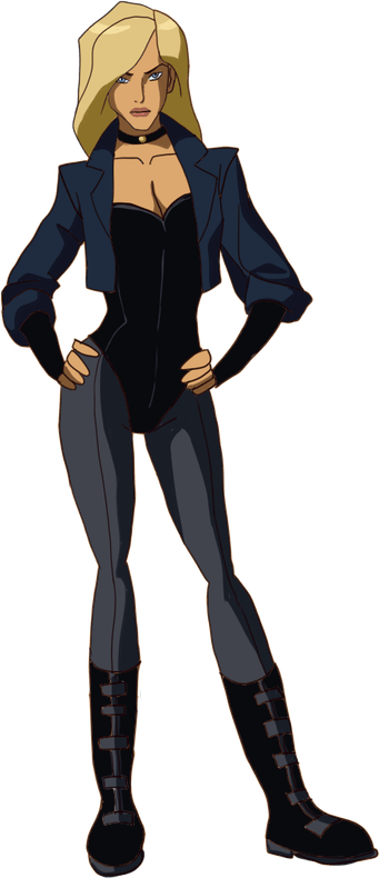 Black Canary PNG