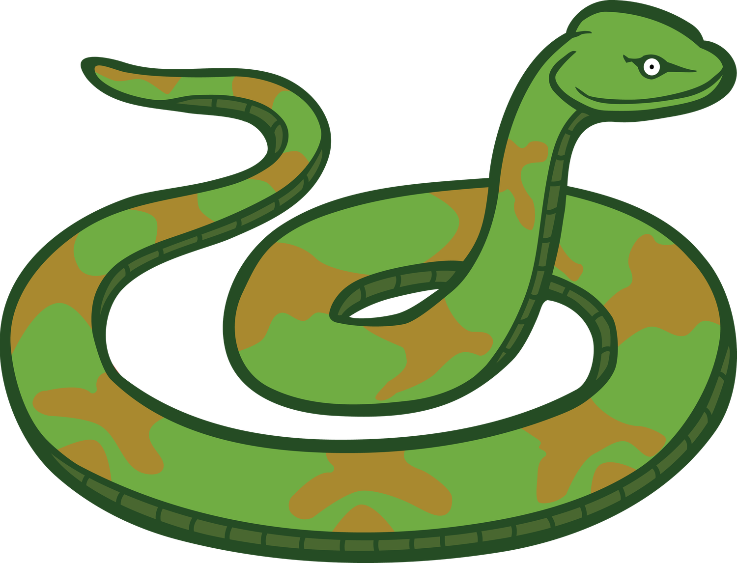 Green Snake PNG