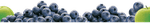 Blueberries PNG