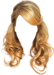 Ponytail PNG
