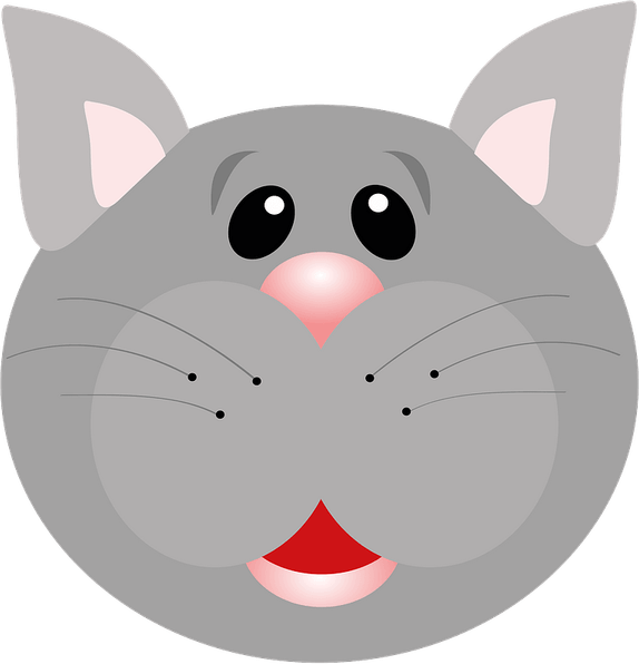 Surprised Cat PNG