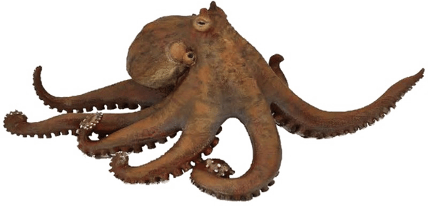 Octopuse PNG