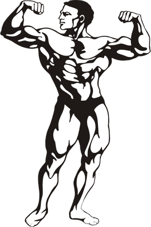 Muscle Man PNG