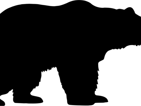 Asian Black Bear PNG
