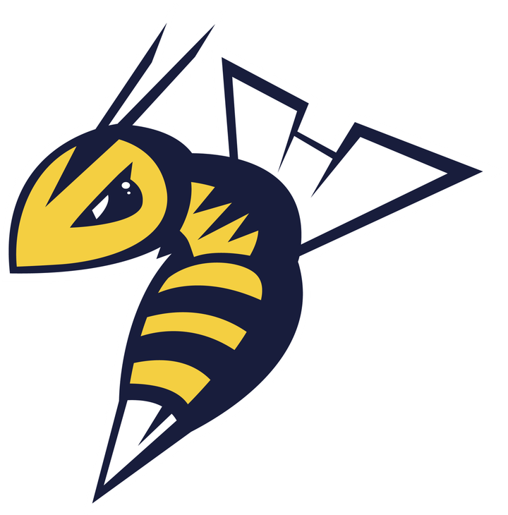 Edmonton Stingers PNG