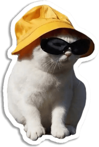 Aesthetic Cat PNG