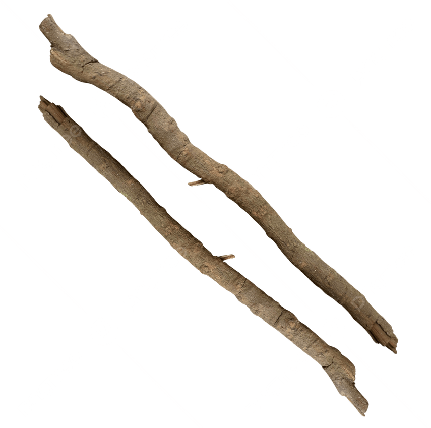 Tree Branch PNG