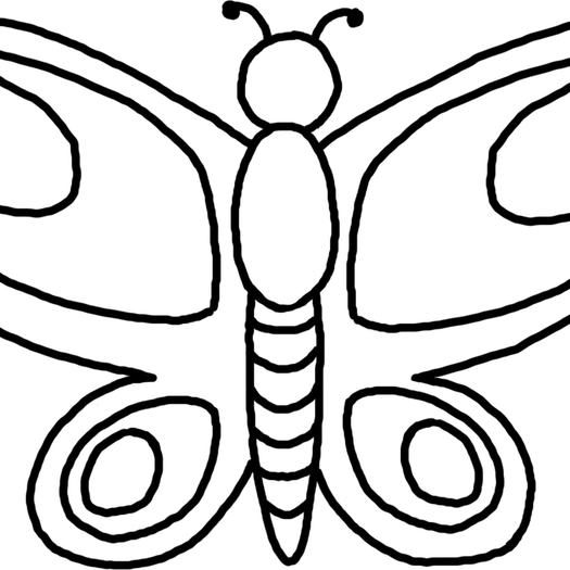 Butterfly Drawing PNG