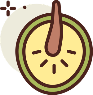Breadfruit PNG