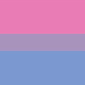 Bi Flag PNG