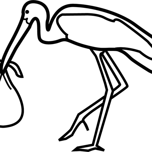 Stork Baby PNG
