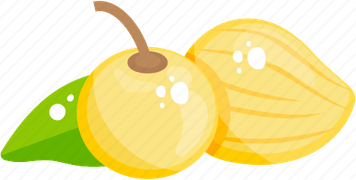 Cape Gooseberry PNG