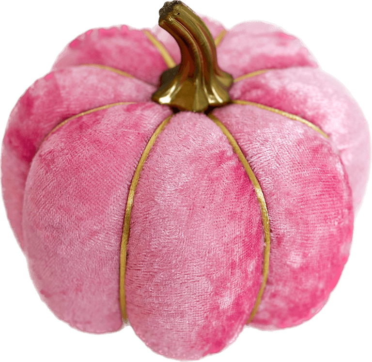 Pink Pumpkin PNG