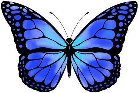 Light Blue Butterfly PNG