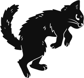 Cat Jumping PNG