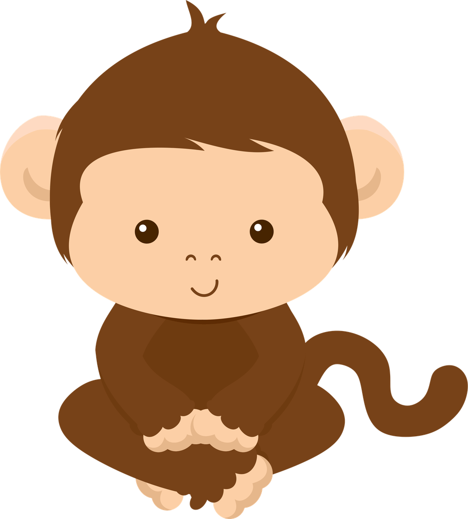 Safari PNG