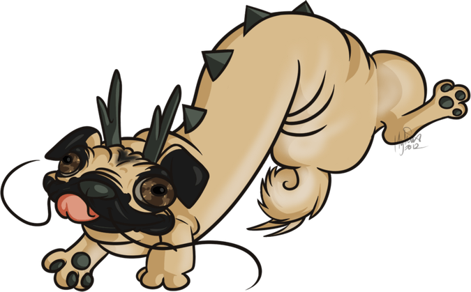 Pug PNG