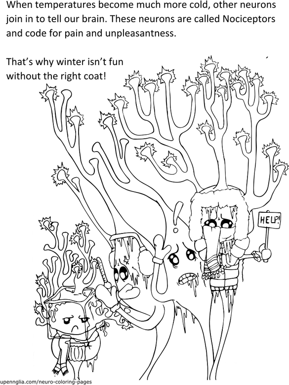 Coloring Pages PNG