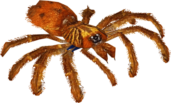 Tarantula PNG